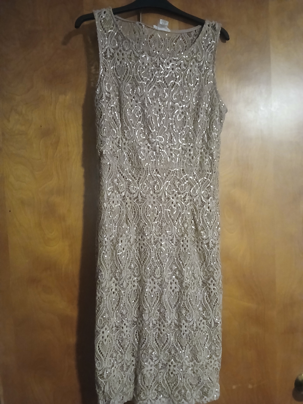 Sleeveless Sequin Sheath Dress in Champagne Size Medium